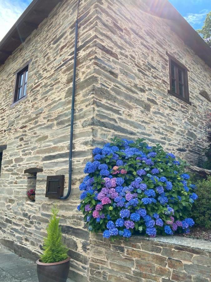 O Paxar Villa Samos Buitenkant foto